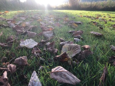 Holiday park Familienunterkunft in Waldkirchen im Ferienpark - Environment photo 28