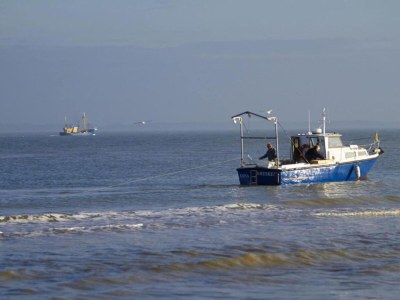 Holiday park Ferienhaus im Nieuwvliet-Bad Beach Resort - Environment photo 12