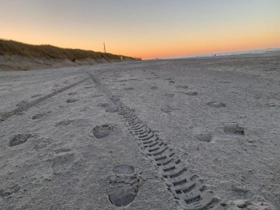 Holiday park Lodge in Zeeland near Nieuwvliet Beach - Environment photo 9