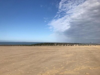 Holiday park Lodge in Zeeland near Nieuwvliet Beach - Environment photo 27