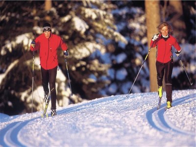 Holiday park Modern Chalet in Obertraun with Terrace - Environment photo 30