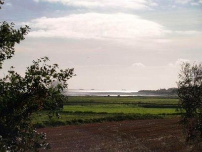 Apartment Ferienwohnung in Wyk-Boldixum auf Föhr - Environment photo 9