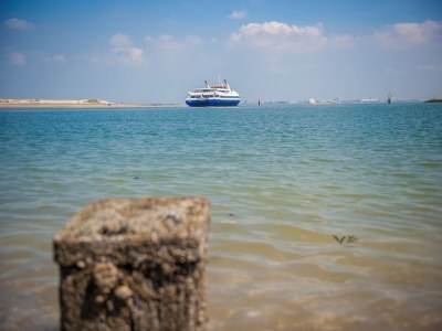 Holiday park Tiny House in Nieuwvliet-Bad am Strand - Environment photo 16