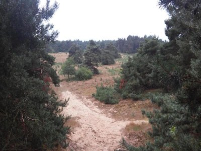 Holiday park Villa in Netherlands with Spacious Garden - Environment photo 23