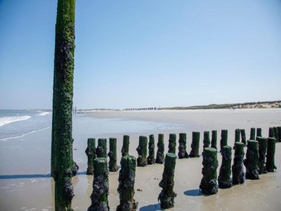 Holiday park Lodge in Nieuwvliet-Bad nahe Strand - Environment photo 11