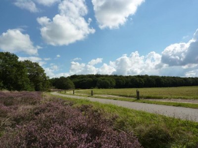 Holiday park Nature Stay in Hunzedal - Environment photo 9