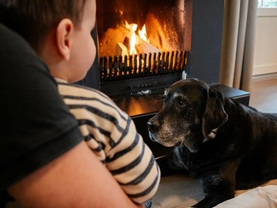 Holiday park Villa in den Niederlanden mit großem Garten - Features photo 8