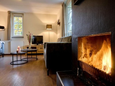 Holiday park Villa in den Niederlanden mit großem Garten - Features photo 10