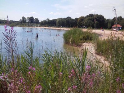 Holiday park Villa in den Niederlanden mit großem Garten - Environment photo 17