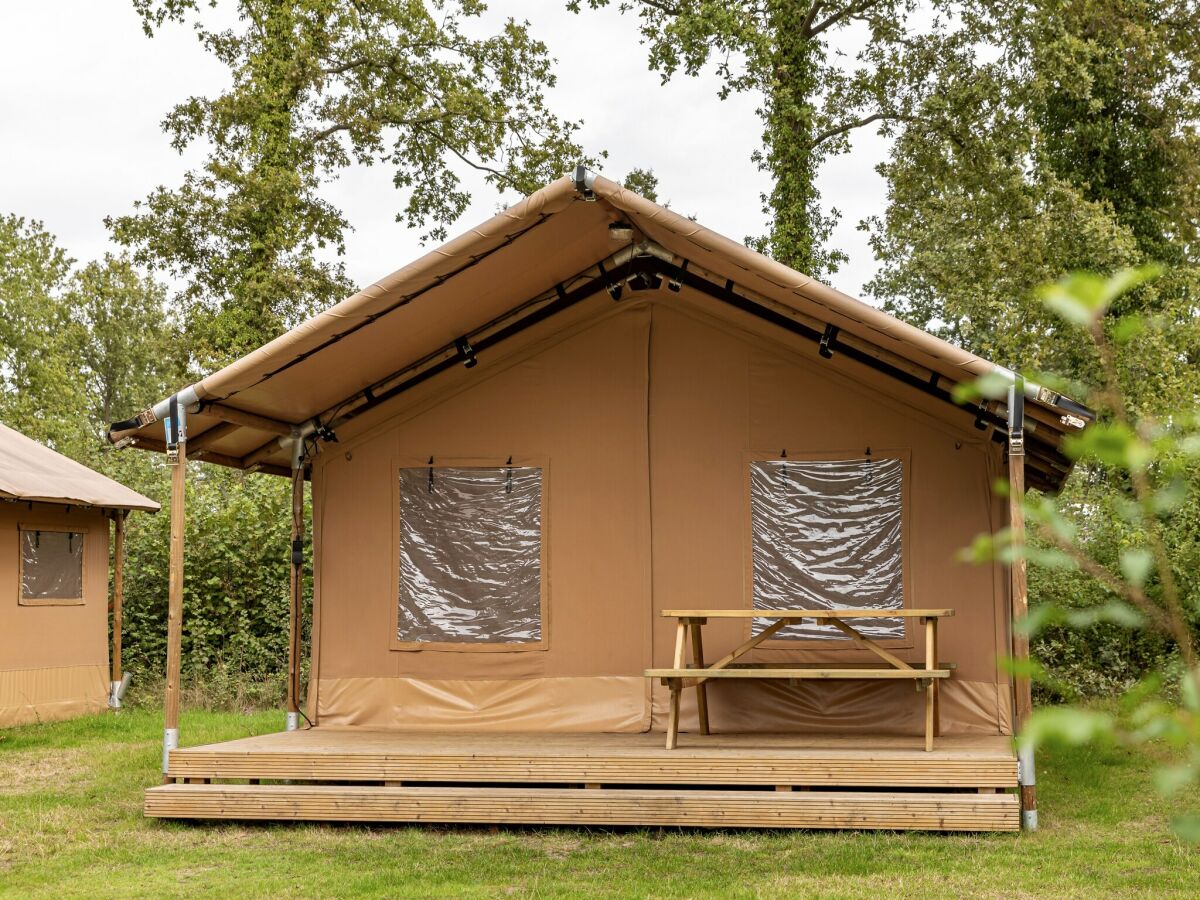 Holiday park Forest Glamping near Emmen - Outdoor photo 2