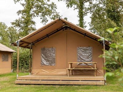 Holiday park Forest Glamping near Emmen - Outdoor photo 2