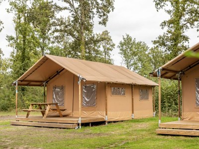 Holiday park Forest Glamping near Emmen - Outdoor photo 3