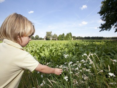 Holiday park Forest Glamping near Emmen - Environment photo 25