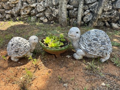 Holiday house Villa Hanna - Outdoor photo 8