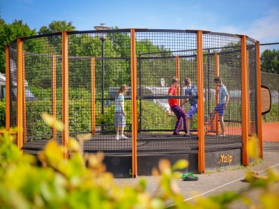 Holiday park Safari Tent in Netherlands with Luxury Comfort - Outdoor photo 15