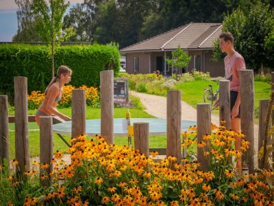 Holiday park Safari Tent in Netherlands with Luxury Comfort - Outdoor photo 36