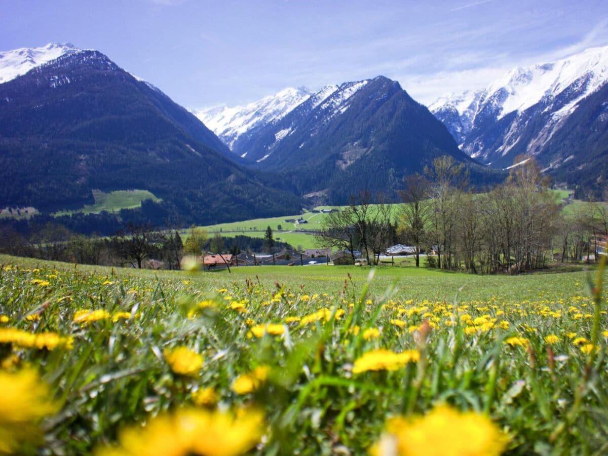 Apartment Apartment in Hohe Tauern near Wildkogel Arena - Outdoor photo 3