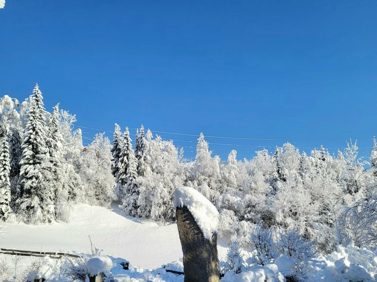 Apartment Apartment in Hohe Tauern near Wildkogel Arena - Outdoor photo 5