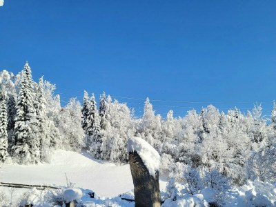 Apartment Apartment in Hohe Tauern near Wildkogel Arena - Outdoor photo 5