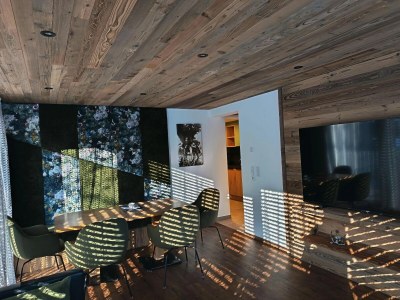 Apartment Apartment in Hohe Tauern near Wildkogel Arena - Features photo 19