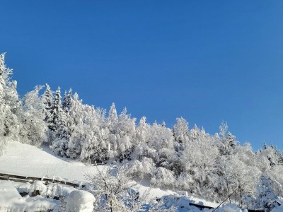 Apartment Apartment in Hohe Tauern near Wildkogel Arena - Environment photo 22