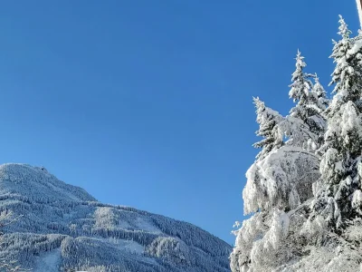 Apartment Apartment in Hohe Tauern near Wildkogel Arena - Environment photo 23
