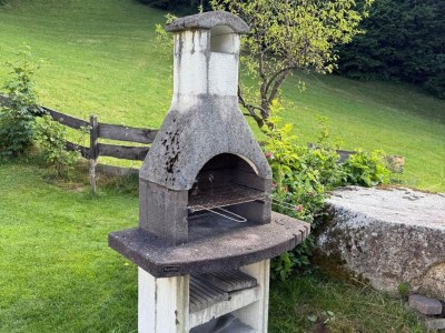 Apartment Apartment in Hohe Tauern near Wildkogel Arena - Outdoor photo 26