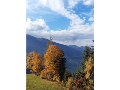 Apartment Ferienwohnung Eberharter Rohrberg - Outdoor photo 12