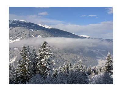 Apartment Ferienwohnung Eberharter Rohrberg - Outdoor photo 13