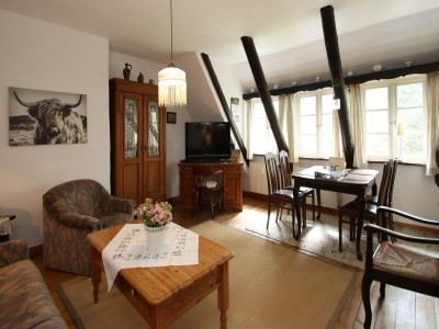 Apartment Ferienwohnung in Dorfmark - Features photo 14