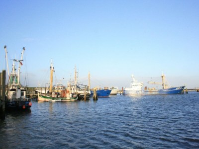 Apartment Ferienwohnung in Wyk-Boldixum auf Foehr - Outdoor photo 24