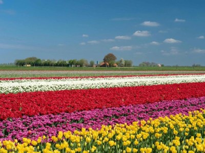 Holiday park Wohnung in den Niederlanden mit WLAN - Environment photo 16