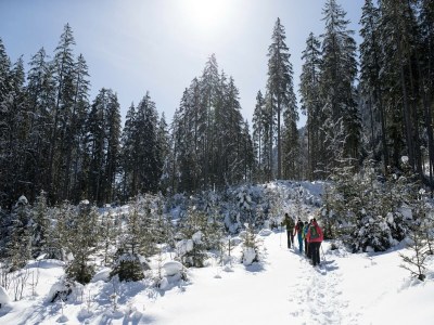 Apartment Apartment in Bramberg near Wildkogel Arena - Environment photo 38