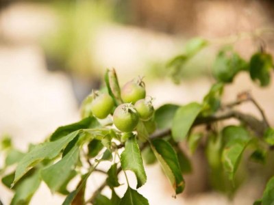 Holiday park Bungalow in Weerterbergen with Garden & Fireplace - Outdoor photo 38