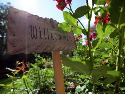 Apartment Wohnung in Bramberg bei Wildkogel Arena - Outdoor photo 3