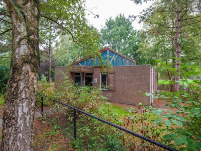 Holiday park Bungalow in Weerterbergen with Fireplace - Holiday park