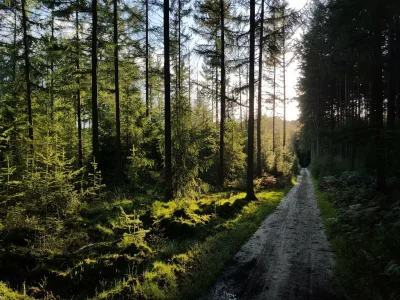 Holiday park Bungalow in Netherlands with Garden Terrace - Environment photo 13