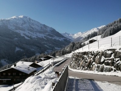 Apartment Wohnung in Fügenberg nahe Spieljochbahn - Outdoor photo 6