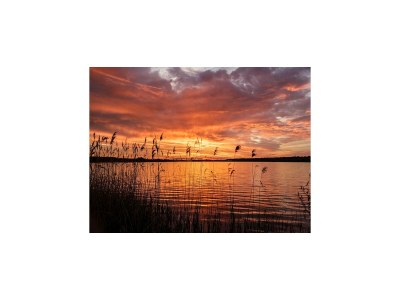 Holiday house Seepark Auenhain am Markkleeberger See in Markkleeberg - Environment photo 11