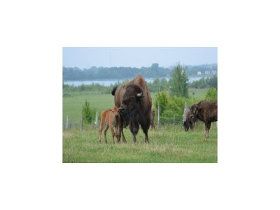 Holiday house Seepark Auenhain am Markkleeberger See in Markkleeberg - Environment photo 17