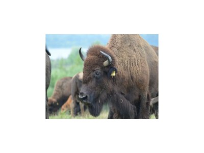 Holiday house Seepark Auenhain am Markkleeberger See in Markkleeberg - Environment photo 23