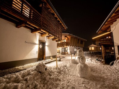 Holiday park Chalet in Wald near Krimml Waterfalls - Outdoor photo 7