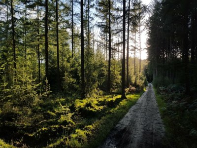 Holiday park Charmanter Gartenurlaub - Environment photo 15