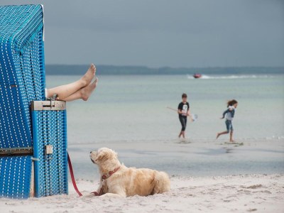 Holiday park Ferienhaus in Damp mit Meeresstrand - Environment photo 25