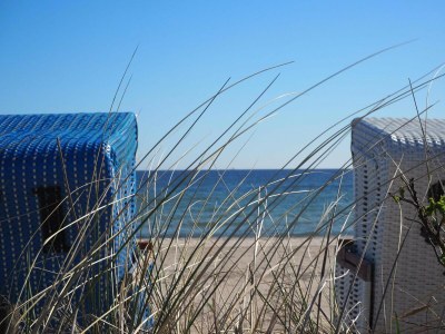 Holiday park Ferienhaus in Damp mit Meeresstrand - Environment photo 32