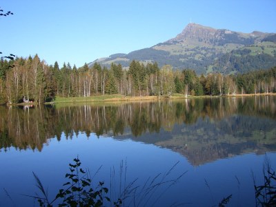 Holiday apartment In the apartment building Astl - Environment photo 14