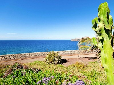 Holiday park Ferienhaus, Agaete, Puerto de las Nieves - Outdoor photo 24