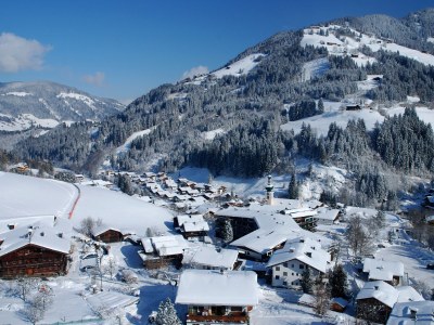 Holiday apartment HÃ¶rbiger - Environment photo 25