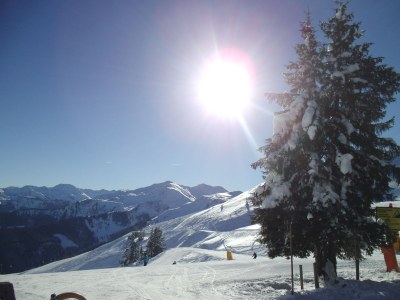 Holiday apartment HÃ¶rbiger - Document photo 28