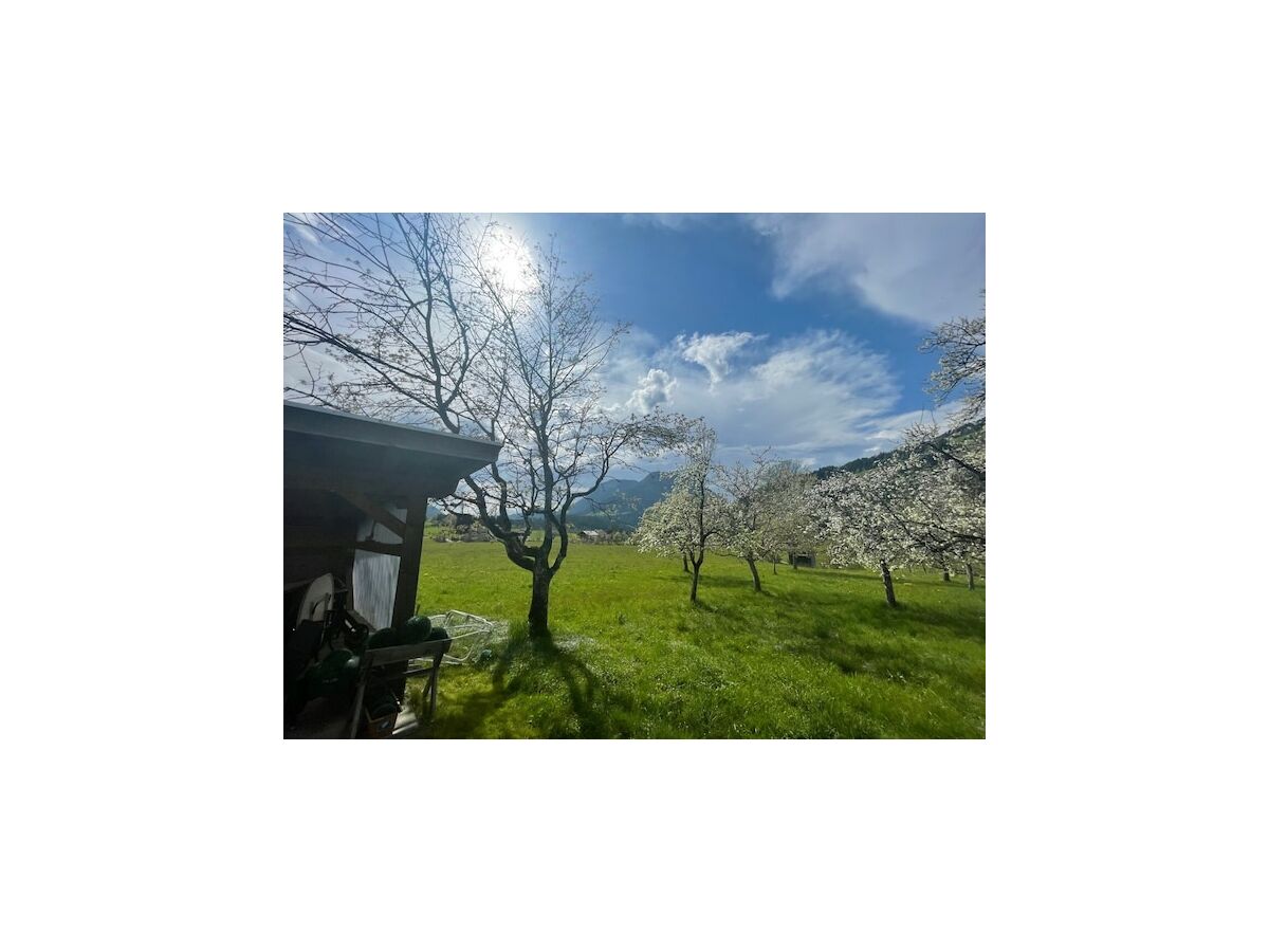 Holiday house Farmhouse in Söll near Wilder Kaiser Ski Area - Outdoor photo 5